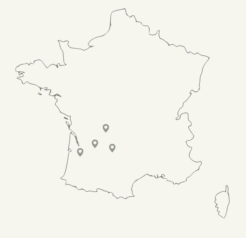cartina stilizzata Francia