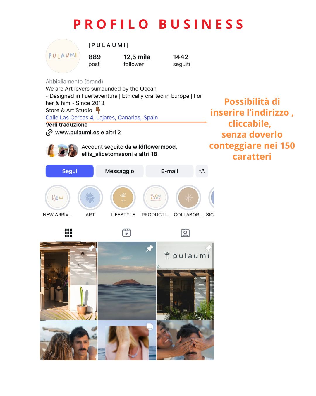 guida instagram bio profilo business esempio di profilo Instagram business
