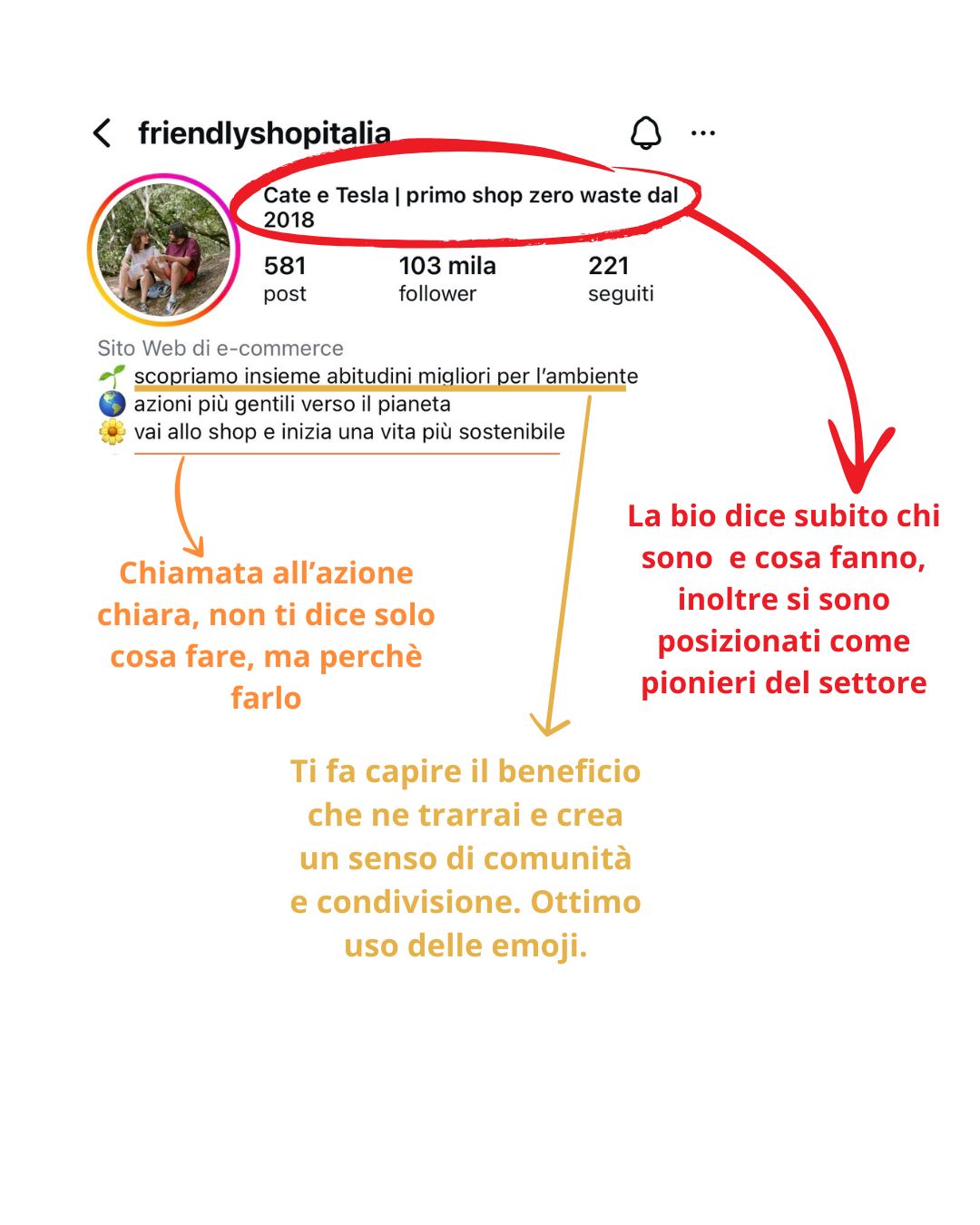 scrivere la perfetta Instagram bio efficace esempio di Instagram bio efficace